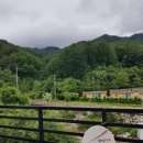 국화향기펜션 이미지