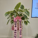 연세문치과의원 이미지