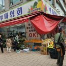 부자네과일