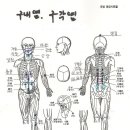 구내염(설염) 구각염 괄사와 벌침으로 치료하기 이미지