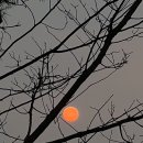 일출추어탕 이미지