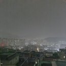 고창초등학교 이미지