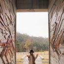 천안,대전~독립기념관 단풍,장태산메타세쿼이아길 이미지