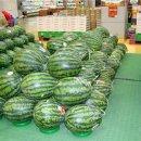 홈세일마트 네이버블로그