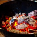 까미노펜션 | 조용한 힐링이 필요할 때, 홍천펜션 까미노 데 플로레스타 홍천본점 후기