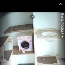 고양이미용&호텔 냥집사 이미지