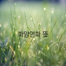 화양연화 이미지