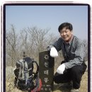 천태봉 Daum카페