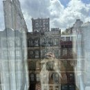 록시호텔 | 뉴욕 맨해튼 호텔 추천 ⑤ | 록시 호텔 (The Roxy Hotel New York) 후기