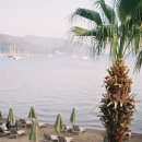 마음이 머무는곳 이미지