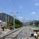 비비큐향촌점 | [여름휴가 2.] 수영장 有 가성비 숙소 탑스텐리조트동강시스타 / 강원도 영월 여행