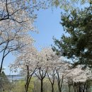 황산공원 족구장 네이버블로그