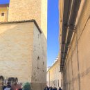 비바리호프 이미지