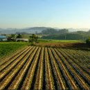 신탁행정사사무소 이미지