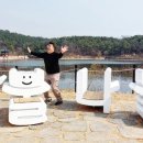 자라다 이미지