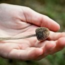 (주)에이트팜 이미지