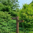 다파로 | 철원 수피령 고개 드라이브 한북정맥 인증지 확인