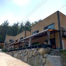 꿈꾸는 숲 이미지