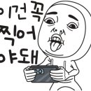 거성목장 이미지