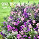 제7회 한국춘란엽예품전시회 | 2023 양재플라워페스타 서울 무료 박람회 관람후기 예매 주차 행사 프로그램 기본정보