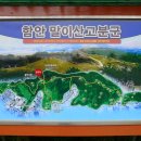 함안제일정비 이미지