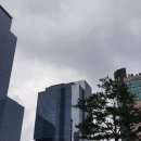 연세헤어성형외과의원 이미지