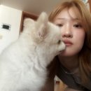 이삭바지방 | 오늘 예쁜 나비를 발견했어