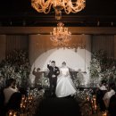 뽀삐네 | [꽃길필름] 본식스냅/본식DVD/아이폰스냅 촬영후기!!