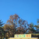 농산물매점 이미지