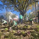 수정2동 이미지