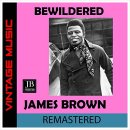 Bewildered - James Brown- 이미지