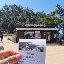 남당리 - 좌 | 충남 서천 마량리 동백나무숲 입장료 및 방문 후기, 서천 동백꽃 주꾸미 축제 정보 포함