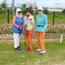 선학골프 이미지