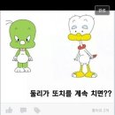 또치 이미지