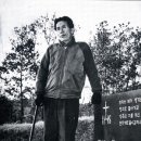 김홍섭