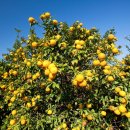 진주원예농업협동조합 이미지