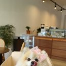 멈무eat 네이버블로그