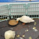 남대천한의원 이미지