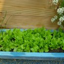 선한유치원 이미지