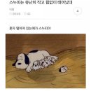 꼬꼬아찌 이미지