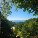 영덕 칠보산 자연휴양림 낙엽송(1동-1층) 2박3일 후기!