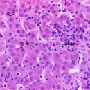 아프리카동물병원 이미지