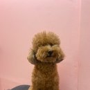 또또살롱 이미지