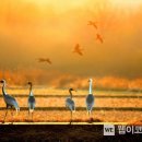 주남저수지 이미지