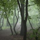 안전하고 즐거운 등산 이미지