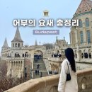 낮과밤사이 | [부다페스트] 어부의 요새 : 낮과 밤 야경 모두 방문 후기, 올라가는 법 입장료, 포토존 추천