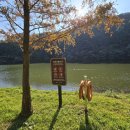 용소사계절 이미지