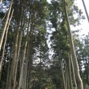 송당퐁당 이미지