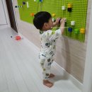 제주도키즈풀빌라빈스 이미지