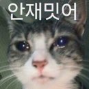 현또 5️⃣빵이💕를 사랑헤요💋💋💋